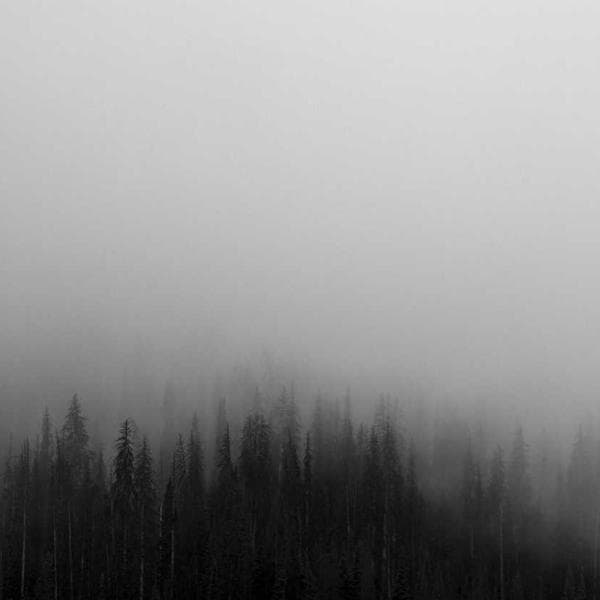 Fading Heartbeat
