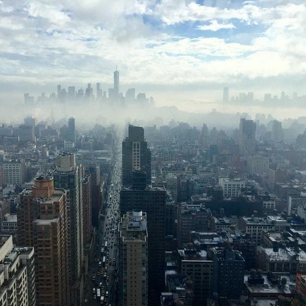 Wild Skyline